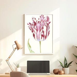 Estampas botánicas de la Tulipomanía – Tulipanes de Jacob Marrel / Arte floral de la Edad de Oro holandesa / Ilustración vintage de tulipanes / Arte botánico del Rijksmuseum