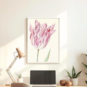Estampas botánicas de la Tulipomanía – Tulipanes de Jacob Marrel / Arte floral de la Edad de Oro holandesa / Ilustración vintage de tulipanes / Arte botánico del Rijksmuseum