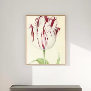 Puede incluir: Un pasillo con una impresión botánica enmarcada de un tulipán con pétalos rojos y blancos. Debajo de la obra de arte hay un banco gris con un marco de madera clara. Una alfombra tejida y la luz natural completan la decoración minimalista.