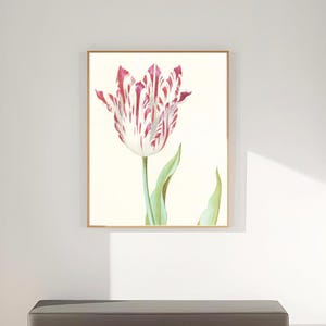 Puede incluir: Un pasillo con una impresión botánica enmarcada de un tulipán en tonos rojos y blancos. Debajo de la obra de arte hay un banco gris oscuro con un marco de madera clara. Una alfombra tejida y paredes blancas completan la escena.