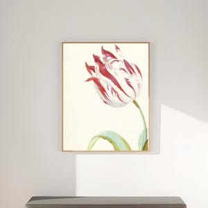 Puede incluir: Un cuadro enmarcado de un tulipán rojo y blanco cuelga de una pared blanca. Debajo, un banco gris con un marco de madera clara descansa sobre una alfombra tejida. La habitación está bañada por la luz natural.