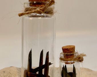 Antique Mini Coffin Nails Curio Bottle - Rusted Tiny Nails (5 per bottle) in Glass Vial - Home Ward - Home Protection - Ward  - 2 Sizes