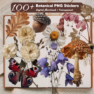 Op de afbeelding: Een verzameling botanische PNG-stickers met gedroogde bloemen, een paddenstoel, een eikel en een vlinder. De stickers zijn in bruin-, rood-, wit- en paars tinten. De tekst "100+ Botanical PNG Stickers" staat bovenaan.