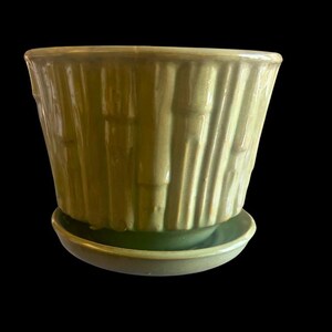 May include: A light green ceramic planter with a matching saucer. The planter has a bamboo-like texture, with vertical ridges and segmented details. The design gives the planter a natural, organic look, suitable for indoor or outdoor use.