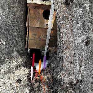 Hopplöst hängiven: En själsbindande ritual