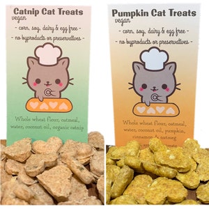 Cat Treats Catnip Pumpkin Handmade Naturally Vegan image 1