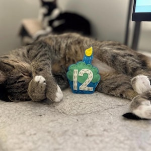 Birthday Cupcake cat toy | choose your colors | organic catnip | wool-blend felt image 9