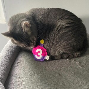 Birthday Cupcake cat toy | choose your colors | organic catnip | wool-blend felt image 11