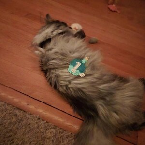 Birthday Cupcake cat toy | choose your colors | organic catnip | wool-blend felt image 13