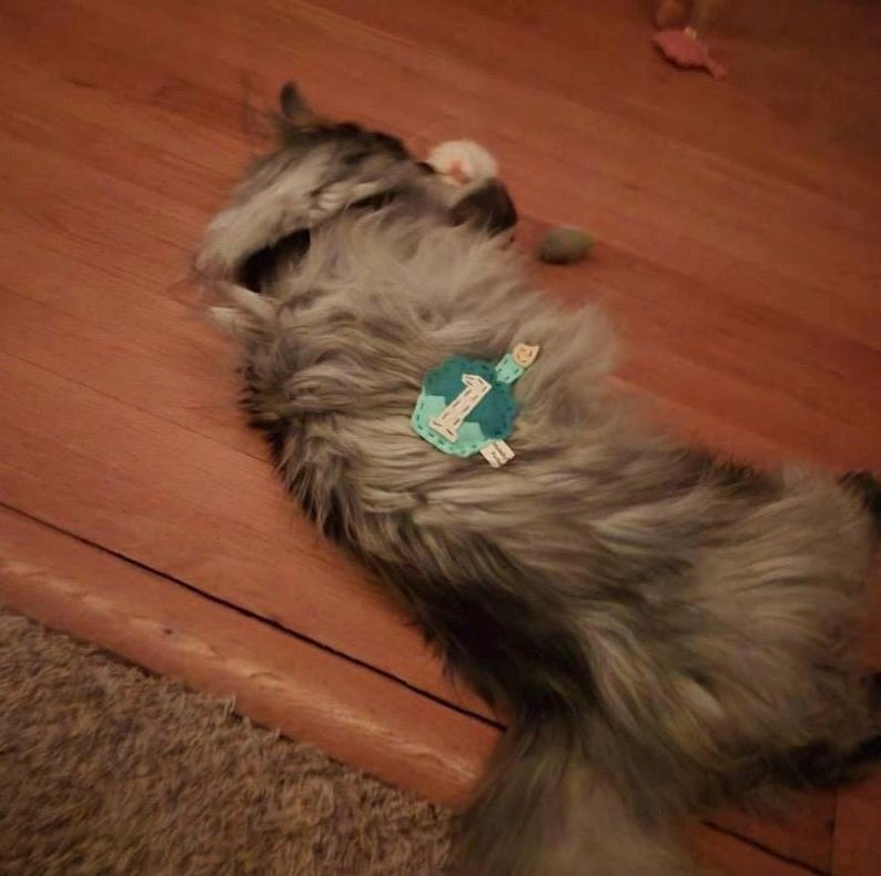 Birthday Cupcake cat toy | choose your colors | organic catnip | wool-blend felt image 13