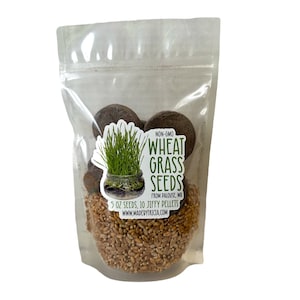 Puede incluir: Una bolsa de plástico transparente llena de semillas de pasto de trigo, 10 pastillas Jiffy y una etiqueta que dice "NON-GMO WHEAT GRASS SEEDS FROM PALOUSE, WA 5 OZ SEEDS, 10 JIFFY PELLETS WWW.MADEBYTRICIA.COM"