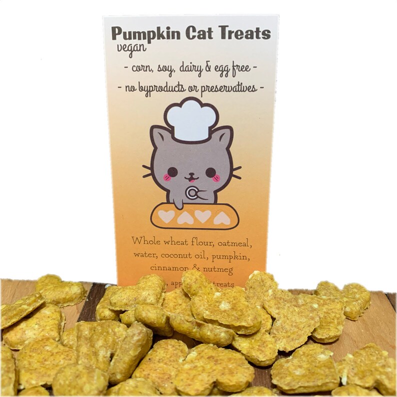 Cat Treats Catnip Pumpkin Handmade Naturally Vegan Pumpkin