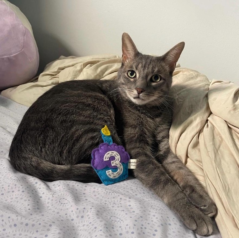 Birthday Cupcake cat toy | choose your colors | organic catnip | wool-blend felt image 10