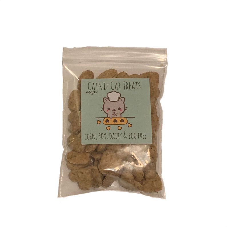 Cat Treats Catnip Pumpkin Handmade Naturally Vegan Etsy