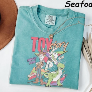May include: Seafoam green t-shirt featuring a graphic of Woody, Buzz Lightyear, and Rex from Toy Story. The shirt has the text "TOY STORY" and "SINCE 1995". A gold necklace with a pendant is on the shirt.