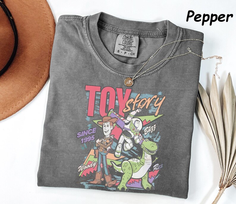 May include: A gray t-shirt featuring the Toy Story logo and characters Woody, Buzz Lightyear, and Rex. The graphic includes the text "TOY STORY" and "SINCE 1995". A silver necklace with a pendant is draped on the shirt.