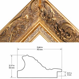 May include: A gold picture frame corner with ornate, raised scrollwork and a cross-hatched texture. A technical diagram below shows a total width of 3.66 inches, a height of 2.17 inches, a base width of 3.31 inches, and a rabbet depth of 0.31 inches.