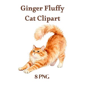 May include: Watercolor illustration of a ginger cat stretching, with a fluffy tail and striped fur. The image includes the text "Ginger Fluffy Cat Clipart" and "8 PNG" in brown font on a white background.