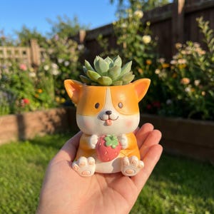 Op de afbeelding: Een charmante, oranje en witte corgi-vormige plantenpot met een aardbei, met een vetplant in zijn hoofd. De pot heeft een lachend gezicht en wordt in een hand gehouden, met een vage tuin op de achtergrond.