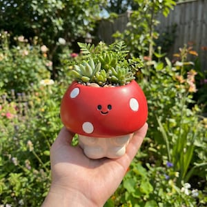 May include: A red mushroom-shaped plant pot with white spots and a smiling face, filled with small green succulents and plants. The pot is held in a hand against a backdrop of green foliage.