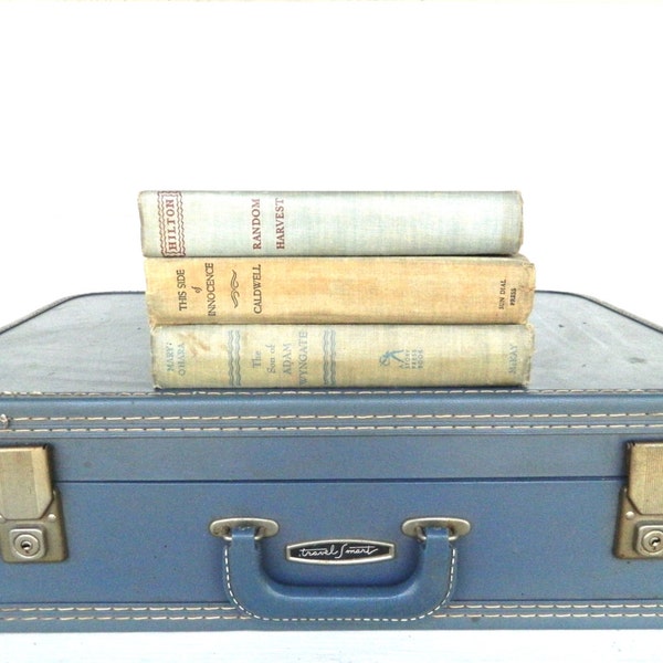 Vintage Blue Suitcase Luggage