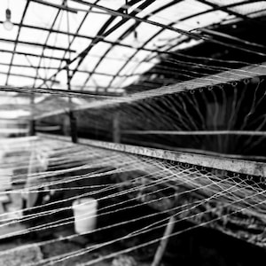 Puede incluir: Una imagen en blanco y negro que muestra una serie de hilos horizontales paralelos tensados sobre una estructura de marco met&aacute;lico. Las l&iacute;neas finas y claras est&aacute;n espaciadas uniformemente y se extienden hacia el fondo, creando un patr&oacute;n geom&eacute;trico.