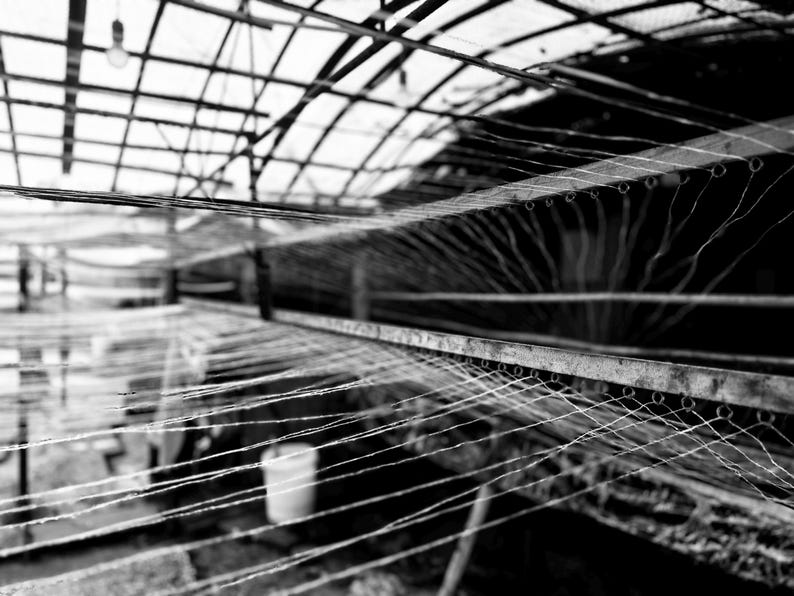 Puede incluir: Una imagen en blanco y negro que muestra una serie de hilos horizontales paralelos tensados sobre una estructura de marco met&aacute;lico. Las l&iacute;neas finas y claras est&aacute;n espaciadas uniformemente y se extienden hacia el fondo, creando un patr&oacute;n geom&eacute;trico.
