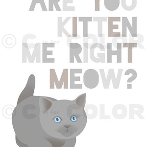 Puede incluir: Un gatito gris con ojos azules mira hacia la derecha. El texto "Are you kitten me right meow?" est&aacute; escrito en letras grises y marrones.