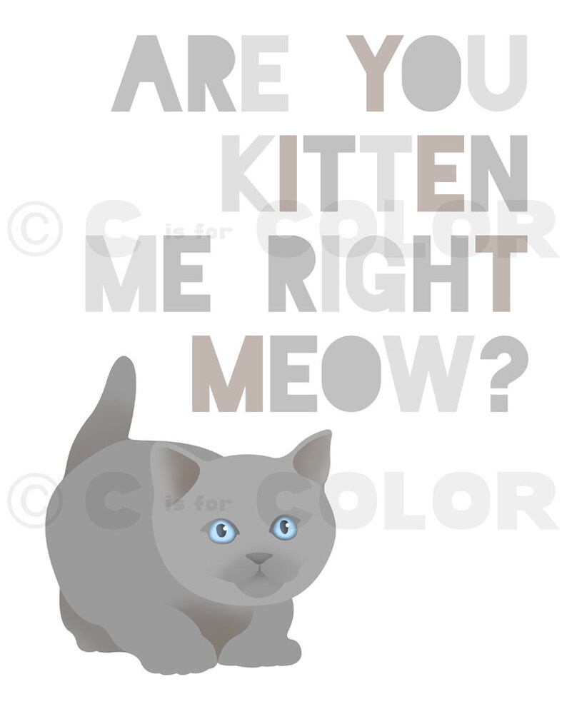 Puede incluir: Un gatito gris con ojos azules mira hacia la derecha. El texto "Are you kitten me right meow?" est&aacute; escrito en letras grises y marrones.