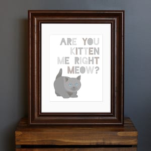 Puede incluir: Una impresi&oacute;n enmarcada con un gatito gris y el texto "Are you kitten me right meow?" en un degradado de colores grises.