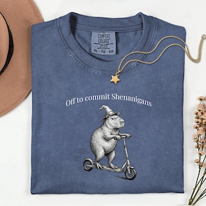以下が含まれることがあります： 「Off to commit Shenanigans」の文字と、魔法使いの帽子をかぶってスクーターに乗るカピバラのグラフィックが描かれた青いTシャツ。 金色の星のペンダントネックレスがシャツの上にかけられています。