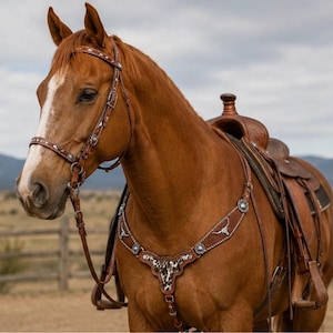 Conjunto de arneses de cuero de vaca color tostado, tallados a mano, brida de caballo estilo western con tachuelas.