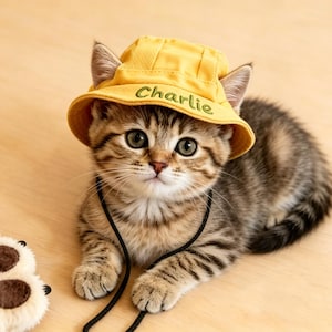 May include: A tabby kitten wearing a yellow bucket hat embroidered with the name "Charlie". The kitten is lying on a light brown wooden surface, with a paw-shaped plush toy nearby. The hat has a black chin strap.