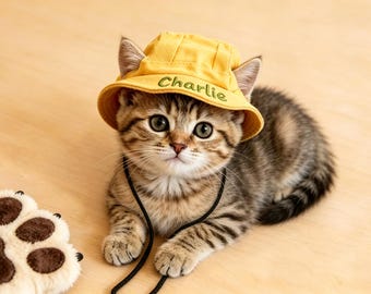 Aangepaste geborduurde naam kat emmerhoed, verstelbare pet zonnehoed, custom huisdier minnaar cadeau, custom vissershoed voor honden en katten