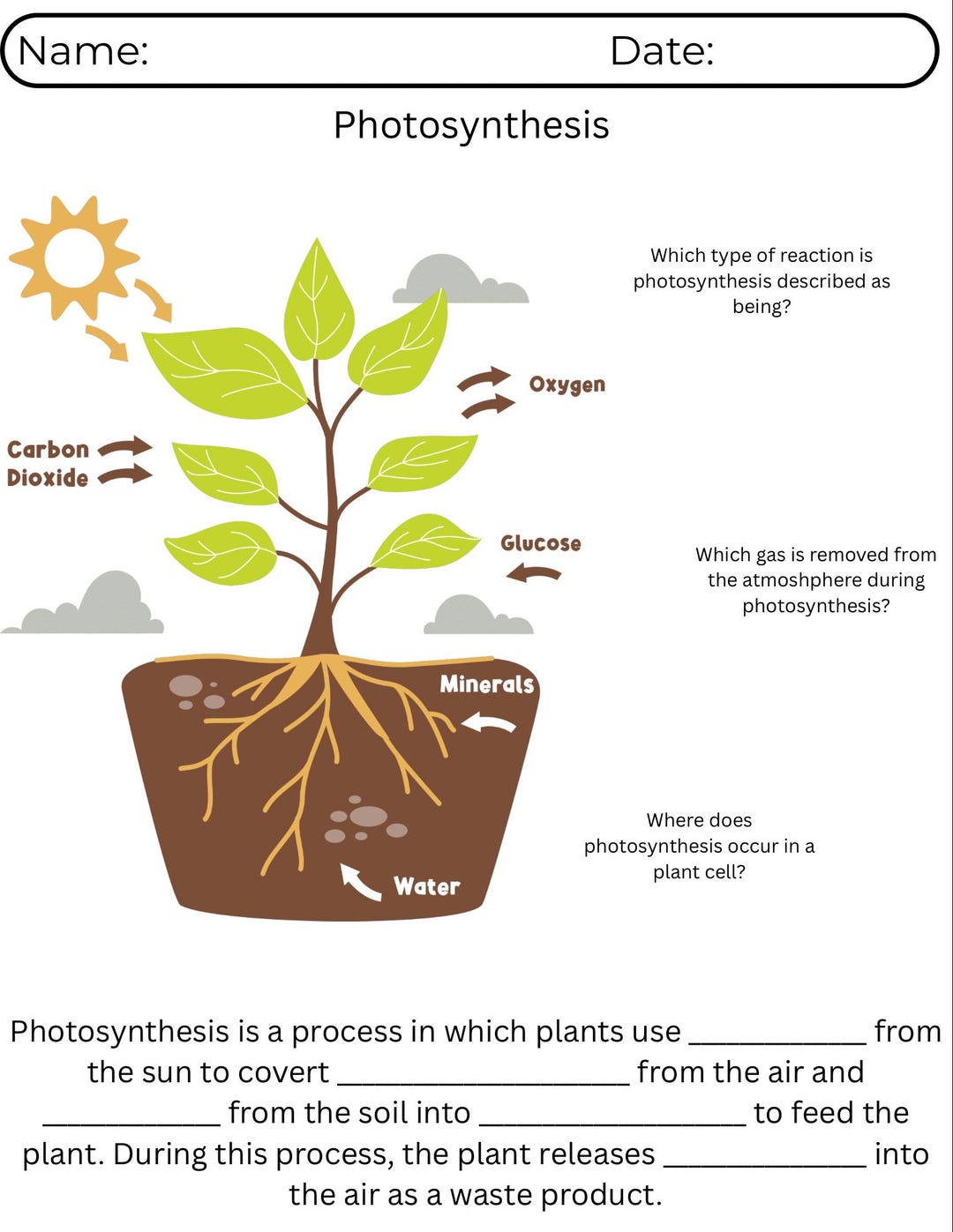 Photosynthesis Worksheet Printable, Plant Science Diagram Activity ...