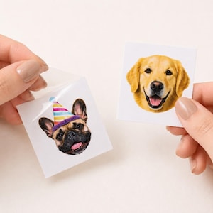 May include: Two square stickers featuring dog portraits. One sticker shows a French Bulldog wearing a colorful striped party hat. The other sticker displays a Golden Retriever. Both stickers have white backgrounds and clear adhesive edges.