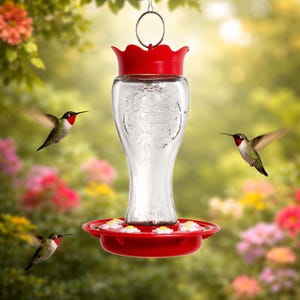 May include: A clear glass hummingbird feeder with a red top and base. The feeder has a decorative shape and is suspended by a metal ring. Three hummingbirds fly around the feeder, set against a blurred floral backdrop.