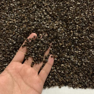 May include: A large pile of dark brown, triangular buckwheat hulls. The hulls have a distinct, sharp-edged, pyramid-like shape and a matte, textured surface. They are scattered densely across the frame, with a small handful held in the palm.
