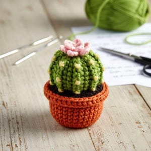 Può includere: Un cactus fatto a mano all'uncinetto in un vaso color terracotta. Il cactus è verde con macchie gialle e un fiore rosa in cima. Il vaso è rotondo e strutturato. Lo sfondo include filo, forbici e uncinetti.