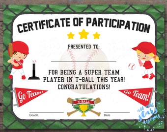 T Ball Certificate - Etsy