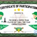 Printable T-ball Participation Certificate Sports Award INSTANT ...