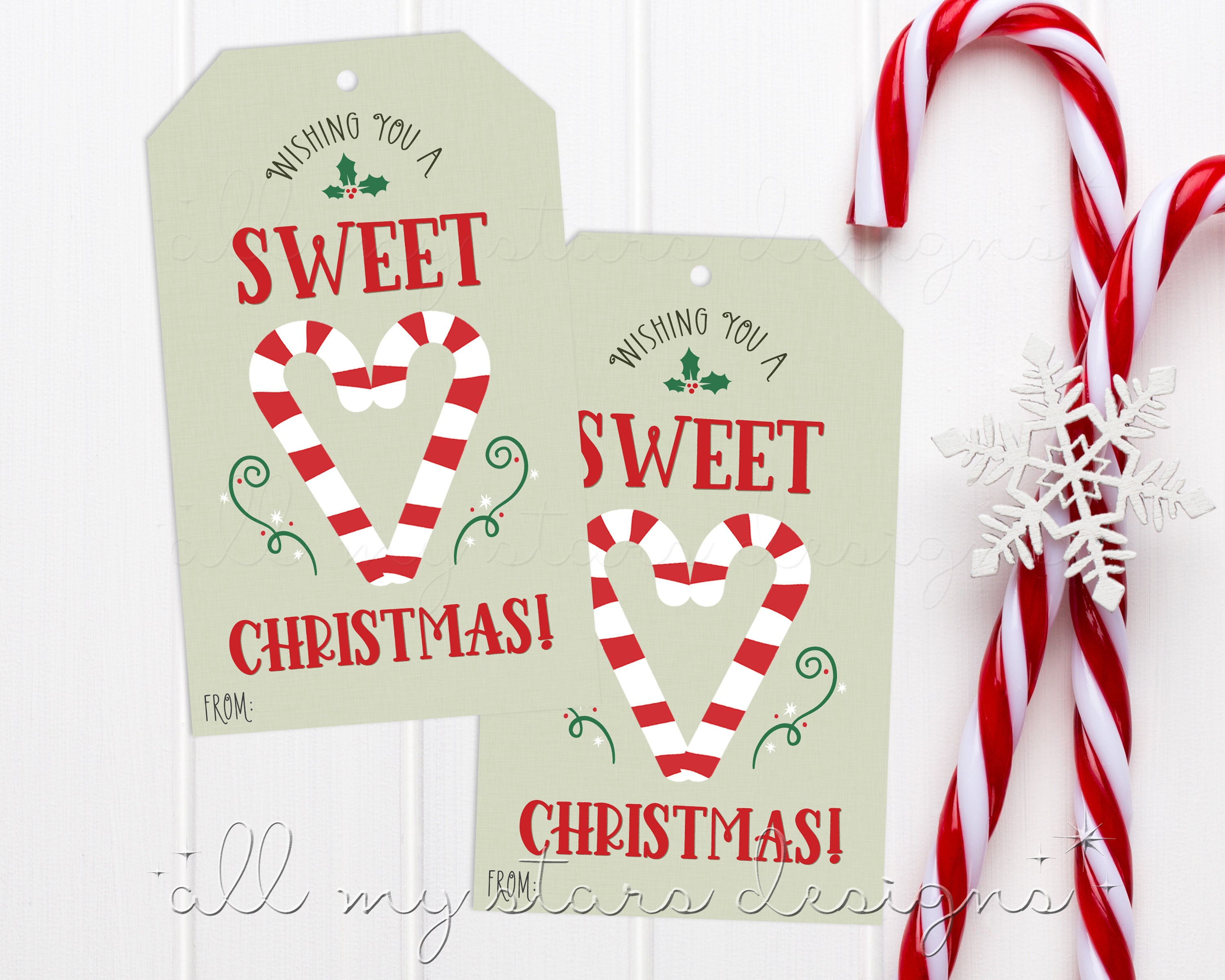 176PCS Christmas Name Tags Stickers, Christmas Gift Tags Labels Xmas Tree  Deer Festival Birthday Holiday Decor