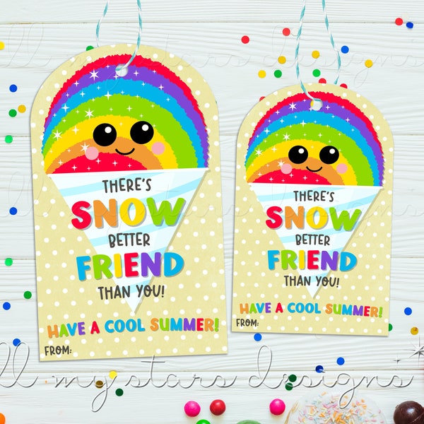 PRINTABLE There's SNOW Better Friend Than You! Have a COOL Summer! Tag | Instant Download | Sno-Cone Summer Break | Shaved Ice Snack Tag