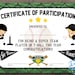 Printable T-ball Participation Certificate Sports Award INSTANT ...
