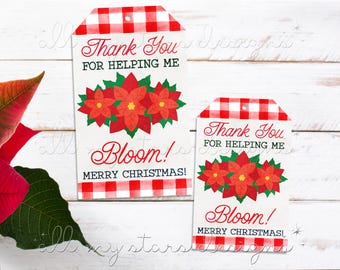 May include: Two red and white gingham gift tags with a red poinsettia design and the text "Thank You for Helping Me Bloom! Merry Christmas!"