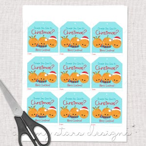 PRINTABLE Orange You Glad It's Christmas! Orange Gift Tag | Mandarin ...