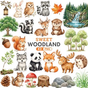 May include: Watercolor illustrations of woodland animals, including a rabbit, owl, raccoon, deer, and fox. The image also features trees, a waterfall, and the text "SWEET WOODLAND 42 PNG".