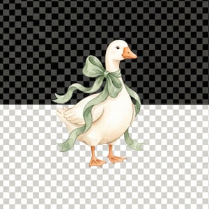 Watercolor goose character with floral decorations and pastel nursery colors, designed for baby announcements, greeting cards, and digital artwork.