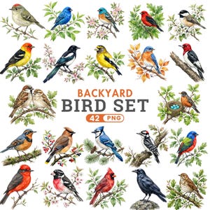 Backyard Bird Clipart, Watercolor Birds PNG, North American Birds, Garden Bird Clipart, Songbird Bundle, Cardinal Robin Png, Commercial Use