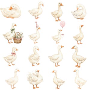 Cottagecore inspired silly goose illustration with floral accents, hand painted watercolor farm animal clipart on white background